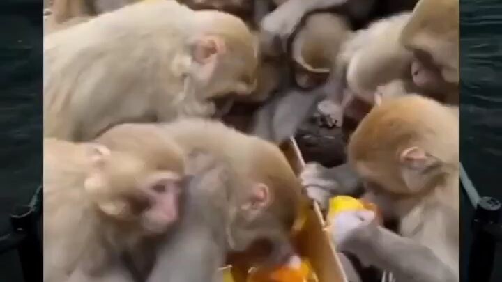 panjang panjang orang baik