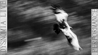 DYSNOMIA 现场预告片