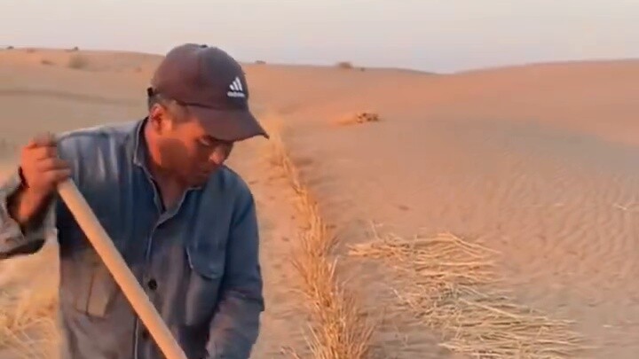 Is China starting to use unmanned tree-planting robots to combat desertification? That's crazy