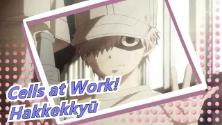 [Cells at Work!] Hakkekkyū: Protect You / Plot-Centric Mashup