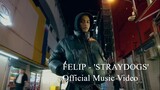 FELIP - 'STRAYDOGS' Official Music Video