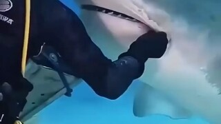 真好笑