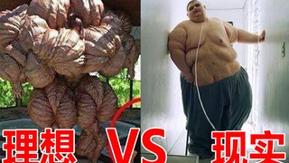 理想VS现实