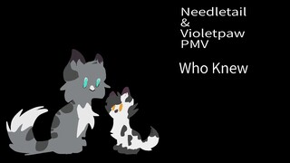 Who Knew Needletail And Violetpaw PMV