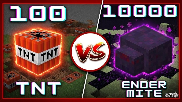 minecraft 100 TNT VS 10000 endermite