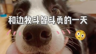 I've really grown up—I almost made my dog start talking like a human!