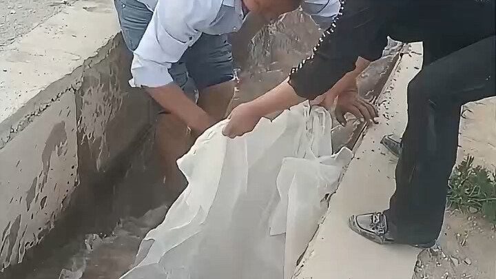 Working people are full of wisdom.