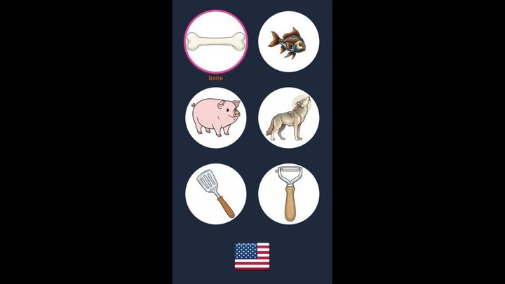 6 English Everyday Objects: spatula, peeler, bone, fish - Test Your Knowledge!