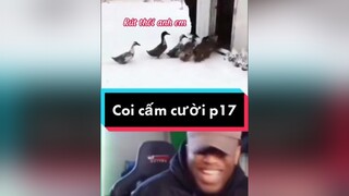 Thử thách nhịn cười p17 .hài hàihước fun funny cười funnyvideos