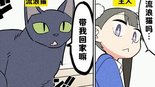 【日配】流浪猫的日常生活是怎样的？【费米研究所】【动态漫画】