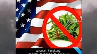 Amerika anti kangkung