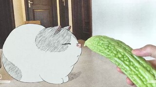 一根苦瓜引发的命案