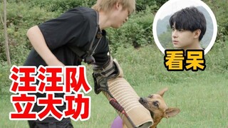 10 poin untuk Paw Patrol! Kunjungi kehidupan pensiunan anjing polisi