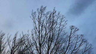 Windstorm/2