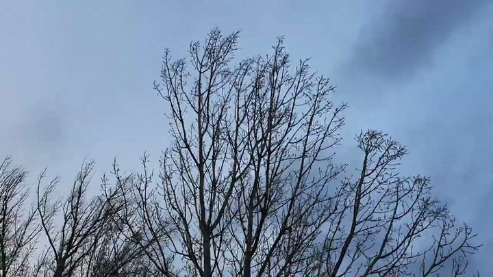 Windstorm/2