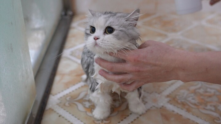 I’m this old, and my bathwater is still pitch black.