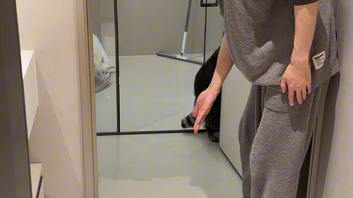 What Do You Do When a Raccoon Can Open Doors?