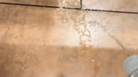 حان الوقت لإظهار مهاراتي!