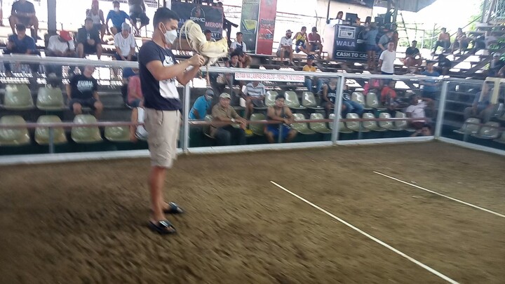 Super White in Action @SPMC Batangas