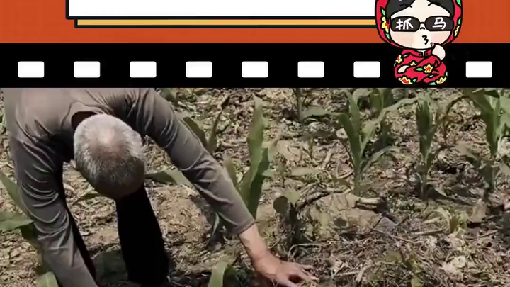 "Pohon yang Dicuri, Ayah yang Dicuri"