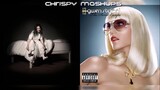 Billie Eilish & Gwen Stefani Ft. Akon - wish you were gay / The Sweet Escape (Mashup)