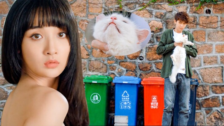 Chi Yan menyelamatkan seekor kucing, dan ia ternyata kecantikan yang menakjubkan!