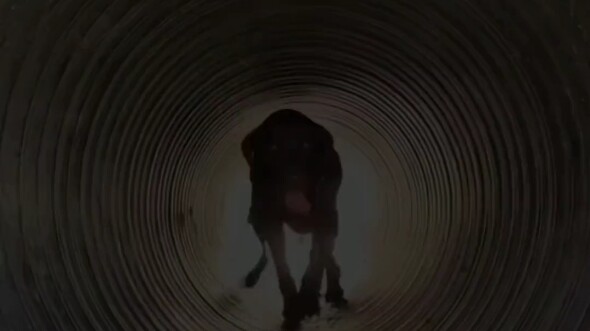 This video is perfect for sharing with your not-so-smart friends.