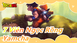 7 Viên Ngọc Rồng|[Yamcha]3 Budokai & 8 vòng mà không có bất kì chiến thắng nào!!!