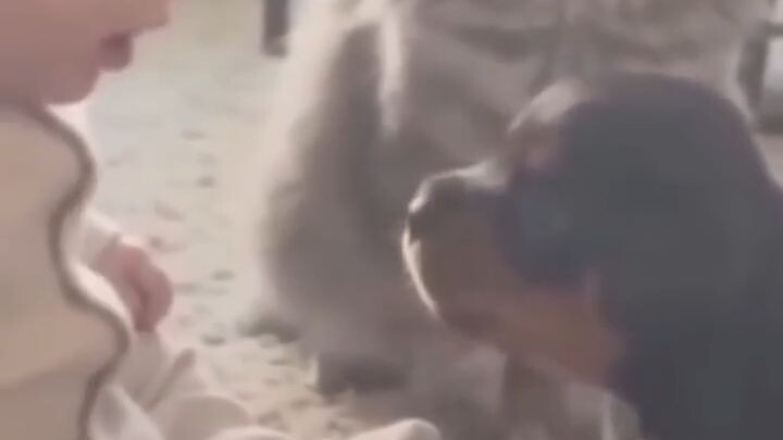 Human