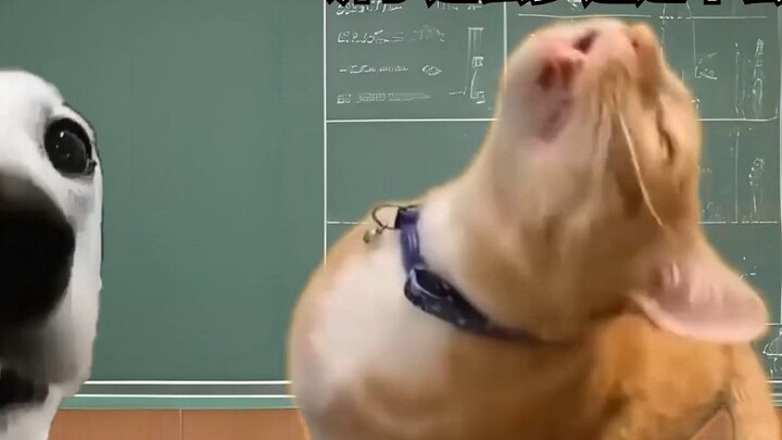 When you suddenly faint at school due to low blood sugar