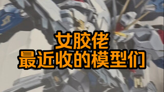 女胶佬最近又收了哪些模型呢