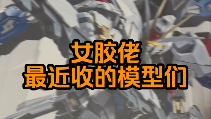 女胶佬最近又收了哪些模型呢
