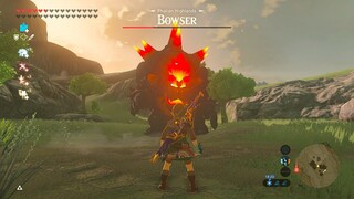 Link VS Fury Bowser MOD - The Legend of Zelda Breath of the Wild