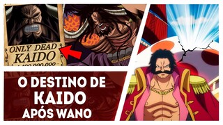 INFORMAÇÕES SOBRE A ARMA URANUS?LUFFY VAI MATAR KAIDO?O QUE VAI ACONTECER ELE APÓS WANO?#SBS12