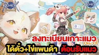 ลงทะเบียนเกาะแมว เตรียมลุ้นรับไข่แพนด้าเอาชุด + ตั๋วกาชา l Ragnarok Origin