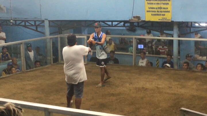 Hack fight @ GMA Cockpit #Netoylines#Backyardbreeder