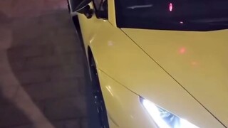 Bibi, aku sudah tidak ingin berusaha lagi~~~