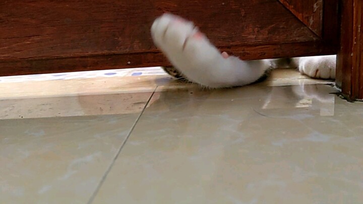 He opened the door while cursing.