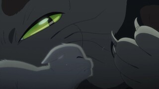 A Whisker Away