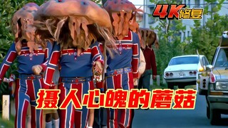 【4K修复】泰罗奥特曼剧情：男孩被霸凌吃下蘑菇，结果被同化成为蘑菇怪