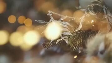 The Lost Heir A Christmas Reckoning