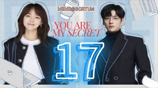 You Are My Secret ep 17 (sub indo)