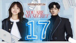 You Are My Secret ep 17 (sub indo)