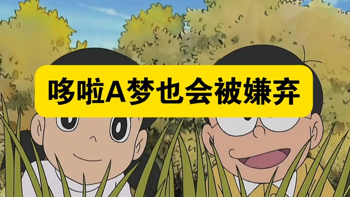 Doraemon: Although little Doraemon is always disliked by cats, he is very popular in the raccoon cat
