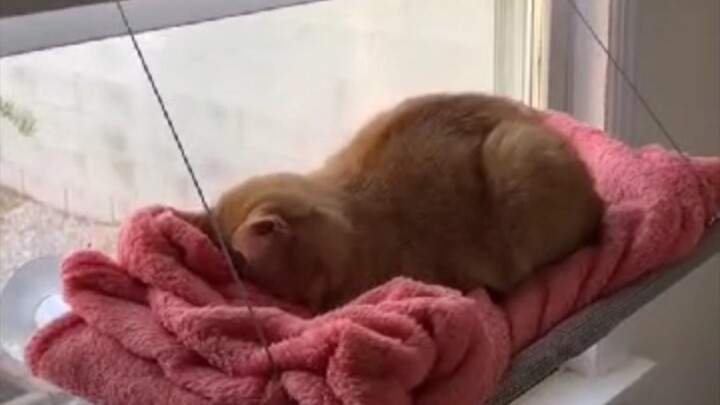 tired all the time