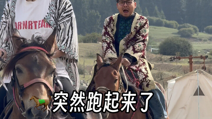 Let’s go horseback riding!