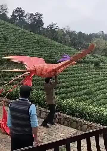 Just flew away like that?