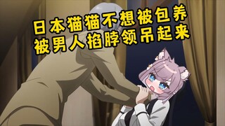 日本OL不想被包养！拒绝表白差点被揍！女性要经济独立！