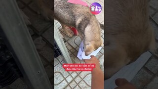 Lâu lâu nhờ 1 chút mà khó quá 😂 #Shorts #Yeulu #Yeuluofficial