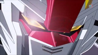 Mobile Suit Gundam Seed Destiny Tập 23